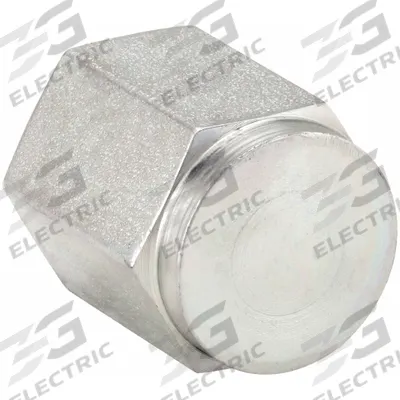 PARKER Cap: Cap, Steel, 3/8 in, NPT Threaded - Hydraulic Threaded Extreme-Pressure Pipe Fittings