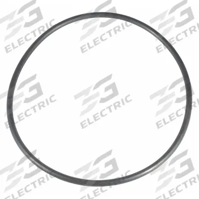 DAYTON Cover O-Ring: Mfr Part # PP21102060001G - Replacement Parts for Pool & Spa Pumps