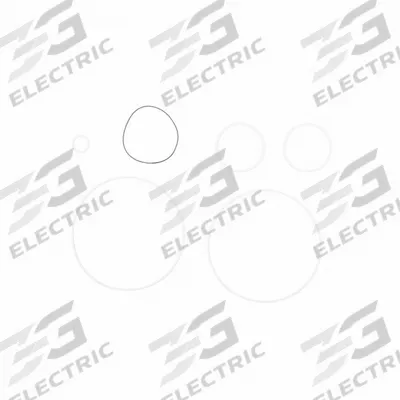 FILL-RITE Teflon Seal Kit: Teflon Seal Kit, Fill-Rite, (6) O-Rings (MPN SK20PTF) - Pumps