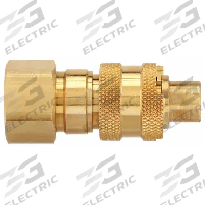 DIXON VALVE & COUPLING Quick Connect Hose Coupling: 1/2 in Body Size - Bowes Brass Quick-Connect Air Coupling Plugs