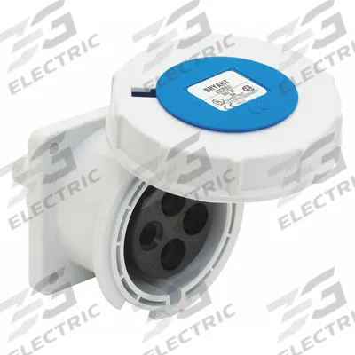 BRYANT Pin and Sleeve Receptacle: Blue, 250V AC, Single Phase, 20 A, 2 Pole, 3 Wire - Watertight Receptacles
