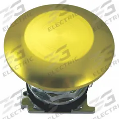 EATON Mushroom Head Push Button: 30 mm, Non-Metallic, Momentary (MPN 10250ED1164-5). Key specifications — Action: Momentary; Brand: EATON; Series: 10250T; Push Button Material Type: Non-Metallic.