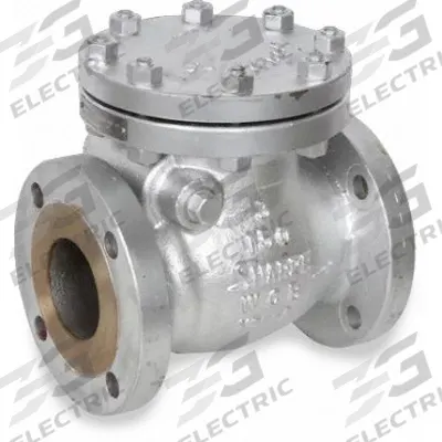SHARPE Check Valve: Swing, 2-Way, Inline Valve Body, 2 in Pipe Size, Flange x Flange - Stainless Steel Inline Swing Check Valves