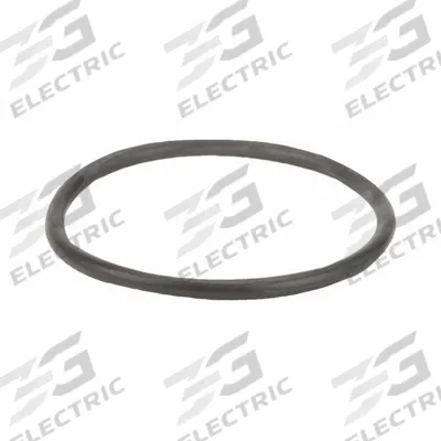 BANJO Gasket: Y Strainer Gasket, EPDM, 1/4 in Ht - Replacement Y Strainer Seals