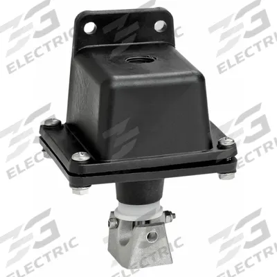 AMERICAN GARAGE DOOR SUPPLY Ceiling Pull Switch: Open-Close, SPST, Indoor/Outdoor - Pull Switches