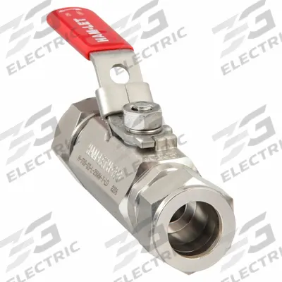 HAM-LET Manual Two-Way Ball Valve: 1 in, Stainless Steel, Straight - Straight-Body Stainless Steel Ball Valves