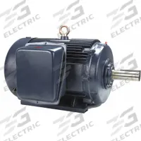 MARATHON MOTORS General Purpose Motor: Rigid Base Mount, Totally Enclosed Fan Cooled, 100 hp (MPN 405TTFCD6036). Key specifications — Brand: MARATHON MOTORS; Nameplate Voltage @ 60 Hz: 230/460V AC; Full Load Current @ 60 Hz: 226.0/113.0 A; Nameplate RPM @ 60 Hz: 1,785 RPM; Motor Enclosure: TEFC.