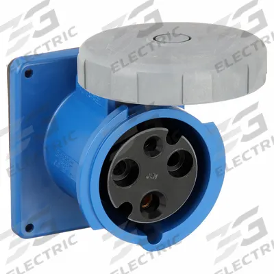 HUBBELL Pin and Sleeve Receptacle: Blue, 250V AC, Single Phase, 60 A, 2 Pole, 3 Wire - Watertight Receptacles