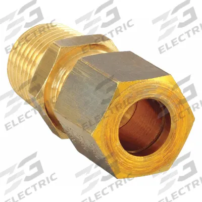 LEGRIS Compression Fitting Adapter: 8 mm OD x 1/4 in Pipe Fitting Size, Compression x MBSPT - Standard Sleeve Brass Compression Fittings