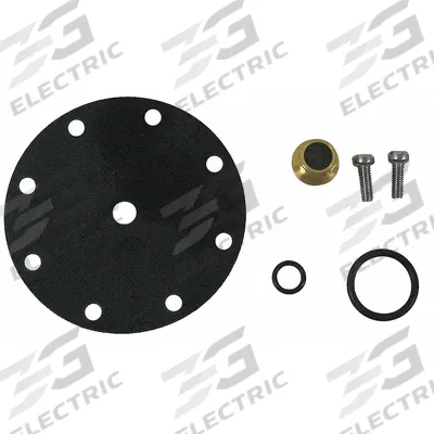 WATTS Pilot Rebuild Kit: CP15RK - Plumbing
