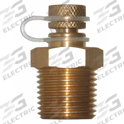 WINTERS Pressure Test Plug: Brass, 1/2 in NPT - Pressure & Temperature Test Plugs