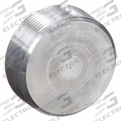 APPLETON ELECTRIC Blank Plugs - Haz Loc: Aluminum, Plain, 2 1/2 in Trade Size, NPT - Hazardous Location Blank Plugs