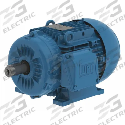 WEG Metric Motor: 1 1/2 hp, Rigid Base Mount, 80 Frame Size, Totally Enclosed Fan Cooled - Rigid Base 3-Phase IEC Metric General Purpose AC Motors