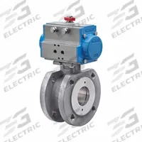 BONOMI Pneumatically Actuated Two-Way Ball Valve: 1 in, Stainless Steel, Flange x Flange, One-Piece (MPN 8P723103-1-C2). Key specifications — Brand: BONOMI; Pilot Solenoid Voltage: 24V DC.