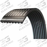 CONTINENTAL V-Belt: 8/C120, 8 Ribs, 124 in Outside Lg, 7 3/64 in Top Wd, 17/32 in Thick (MPN 20083493)