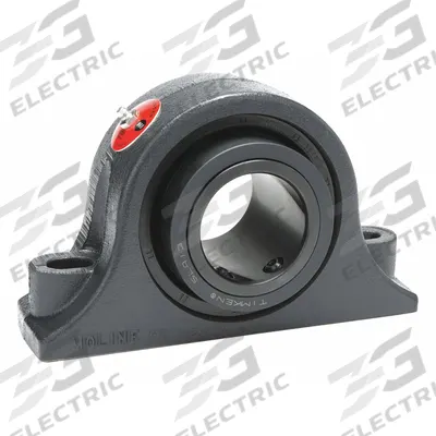 MOLINE BEARING Pillow Block Bearing: 1 3/16 in Bore, Expansion, Cast Iron - Expansion Pillow Block Spherical Roller Bearings