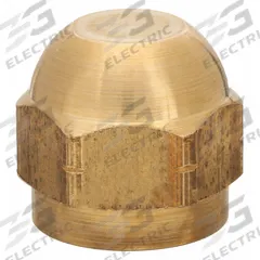 WATTS Cap: Cap, 1/8 in Connection Size - Side 1, Male, IPS, Repair Part, Brass, Backflow Preventer (MPN SAE-TC Brass Cap 1/8 SAE). Key specifications — Compatible with Series: 4000B.