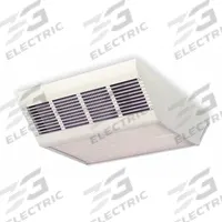 DAYTON Surface-Mount Electric Ceiling Heater: Fan Forced, 2000W/3000W/4000W Watt Output, White (MPN 2YU40). Key specifications — Wattage Output: 2000W/3000W/4000W; Voltage, Phase: 208V AC, 1 or 3-phase; Thermostat Included: No; Product Type: Surface-Mount Electric Ceiling Heater; Brand: DAYTON; Heating Method: Fan Forced; Nominal Voltage - HVAC: 208V AC; Overall Dimensions - H x W x D: 5-3/4 in x 16-7/16 in x 5-3/4 in.