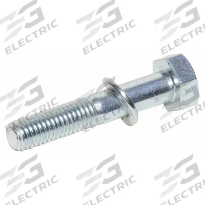 Dayton Bolt: Bolt, Stainless Steel - Hardware