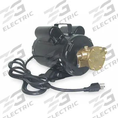 Dayton Utility Pump: 115/230V AC, 50 ft Max head, 8 ft Cord Lg, 1/2 in FNPT / 3/4 in MNPT - Electric Flexible Impeller Utility Pumps