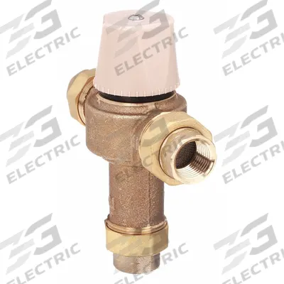 WATTS Thermostatic Mixing Valve: 1 in Inlet Connection Size, 1 in Outlet Connection Size - Point-of-Use Mixing Valves