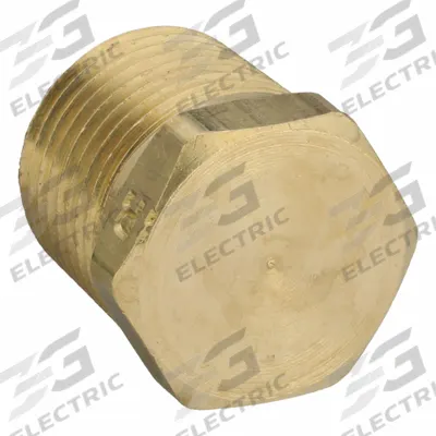 PARKER Plug: Plug, 1/2 in, NPT Threaded, 1,000 psi, 31/32 in Lg - Threaded High-Pressure Pipe Fittings