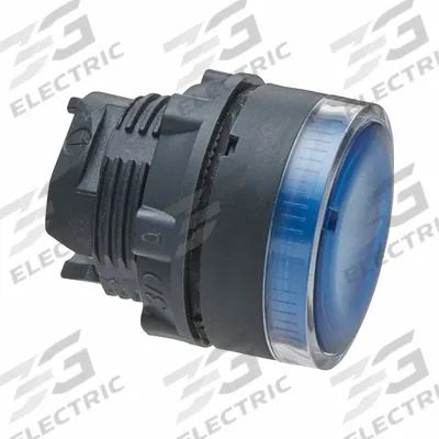 SCHNEIDER Flush Push Button: Blue, 22 mm Mounting Size, Non-Metallic - Illuminated Flush-Mount Push-Button Operators