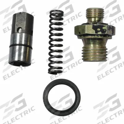 Dayton Outlet Check Valve Kit: 401-45A - Pumps, Valves, & Cylinders for Lift Tables