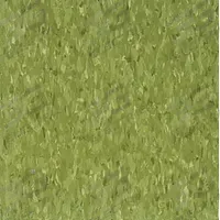 ARMSTRONG FLOORING Vinyl Floor Tiles: Little Green Apple, Std Excelon Imperial Texture, Smooth (MPN 51866031). Key specifications — Color: Little Green Apple; Brand: ARMSTRONG FLOORING.