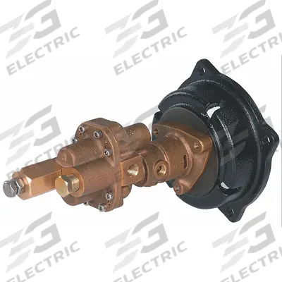 Dayton Rotary Gear Pump Head: Direct Drive, Bronze, 1/2" FNPT, PPS, 304 SS - C-Face Mount Gear Pump Heads