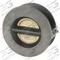SSI Double Disc Check Valve: Double Disc, Inline Valve Body, 3 in Pipe Size, Wafer, Wafer, Wafer (MPN 0300-600WTTTM-T). Key specifications — Seat Material: CF8M Stainless Steel; Brand: SSI.
