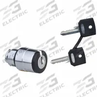 SCHNEIDER ELECTRIC Keyed Selector Switch: 3 Position, 22 mm Panel Mounting Size, Series XB4 (MPN ZB4BG09). Key specifications — Manufacturer Part Number: ZB4BG09; Brand: SCHNEIDER; Switch Action: Maintained/Maintained/Maintained; Key Removal Position: Right.