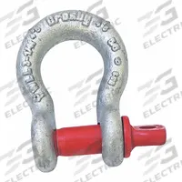 CROSBY Anchor Shackle: Anchor Shackle, 9,500 lb Working Load Limit, 2 in Compatible Sling Wd, Silver (MPN 1018491). Key specifications — Body Color: Silver; Brand: CROSBY.