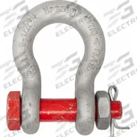 CROSBY Anchor Shackle: Anchor Shackle, 25,000 lb Working Load Limit, 1 11/16 in Wd Between Eyes, Red (MPN 1021065). Key specifications — Body Color: Silver; Brand: CROSBY.