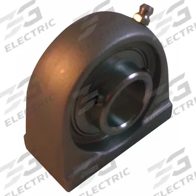 NTN Pillow Block Bearing: 1 in Bore Dia - Food-Grade Tapped-Base Pillow Block Ball Bearings
