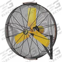 BIG ASS FANS Mounted Fan: 30 in Blade Dia, 120V AC, 1/3 hp Motor HP, Wall Mount, Non-Oscillating (MPN F-AE1-3001L13S34). Key specifications — Brand: BIG ASS FANS; Voltage: 120V AC; Number of Speeds: Variable; Fan Mounting Location: Wall; Oscillation: Non-Oscillating; Mounting Type: Bracket.