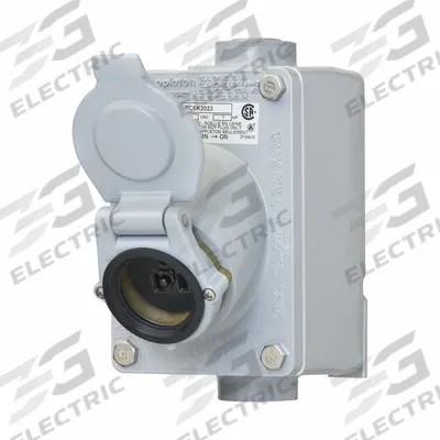 APPLETON ELECTRIC Receptacle: 1 Gang, 5-20R/6-20R, GFCI, 125V AC - One-Gang Receptacles