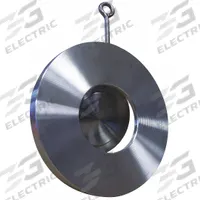 CHAMPION Check Valve: Swing, Inline Valve Body, 2 1/2 in Pipe Size, Flange, 316 Stainless Steel, Std (MPN 2.5SDS15-SSP-R). Key specifications — Seat Material: Metal; Brand: CHAMPION; Disc Material: 316 Stainless Steel.