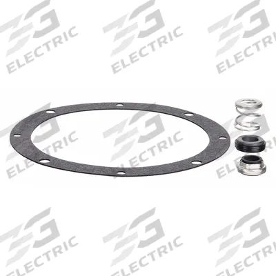 BARNES Seal Kit: Mfr Part # 107276SD-GIS - Seal Kits for Dewatering & Wastewater Pumps