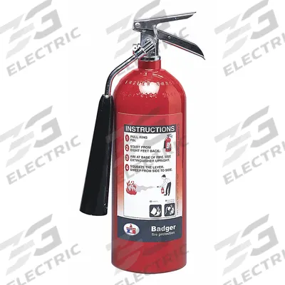BADGER Fire Extinguisher: 5 lb Extinguisher Capacity, 5B:C - Class BC Fire Extinguishers