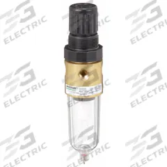 SPEEDAIRE Filter-Regulator: Miniature Series, 1/4 in NPT, 12 cfm, 5 micron, 5 psi to 125 psi, Brass (MPN 4ZK77). Key specifications — attr109419: SPEEDAIRE; attr109429: Brass; attr109463: No; attr109467: Rubber; attr109468: Miniature.