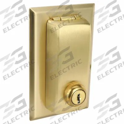 HUBBELL Wall Plate: Single Circular Opening, 1 Gang, Brass - Lockable Wall Plates