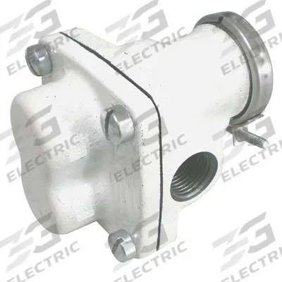 Dayton Rotary Gear Pump Head: Direct Drive, Cast Iron, 1/2" FNPT, Steel, 304 SS - Carbonator Mount Gear Pump Heads