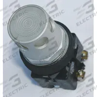 EATON Extended Push Button: 30 mm Mounting Size, Non-Metallic, Momentary (MPN HT8GDWL1). Key specifications — Brand: EATON; Action: Momentary; Series: HT800; Push Button Material Type: Non-Metallic.