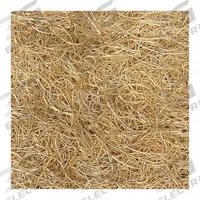 CHAMPION Evaporative Cooler Media: Wood Fiber, Ducted Evaporative Cooler/Window Evaporative Cooler (MPN 110098). Key specifications — Brand: CHAMPION.