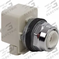 SCHNEIDER Extended Push Button: 30 mm Mounting Size, Metallic, Momentary (MPN 9001K2L38). Key specifications — Brand: SCHNEIDER; Action: Momentary; Series: 9001K; Push Button Material Type: Metallic.