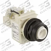 SCHNEIDER ELECTRIC Pilot Light: 30 mm Panel Mounting Size, No Lens Included, Incandescent (MPN 9001SKT1). Key specifications — Lens Color: No Lens Included; Series: 9001SK; Brand: SCHNEIDER; Includes Push-To-Test: Push-To-Test Included.