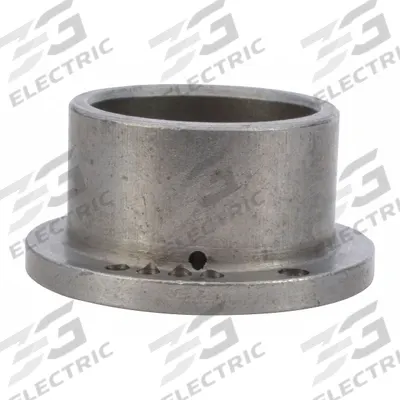 SPEEDAIRE Rear End Plate: Mfr Part # TT15029G - Air Tool Replacement Parts
