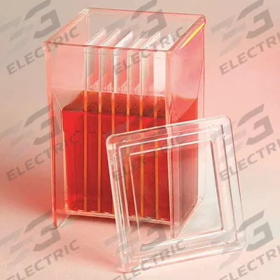GLOBE SCIENTIFIC Staining Jar: 8 Sample Capacity, 57 mm Ht, 57 mm Wd, 27 mm Dp, PMP - Staining Jars
