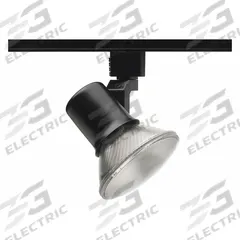 Track Lighting Head: Incandescent, Flared Shape, 50 W, 2 1/8 in Dia, 2 3/8 in Lg, Black (MPN R541 BL). Key specifications — Brand: JUNO LIGHTING; Lighting Technology: Incandescent; Housing Color: Black.